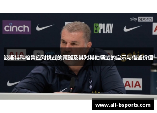 波斯特科格鲁应对挑战的策略及其对其他领域的启示与借鉴价值